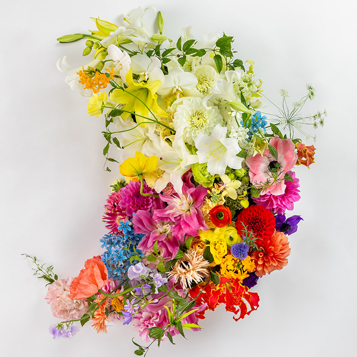 Kochi agri flower
