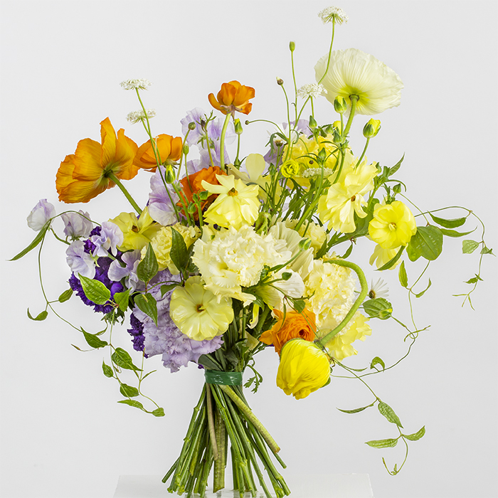 Kochi agri flower